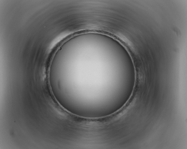 X0000115501070200911061323