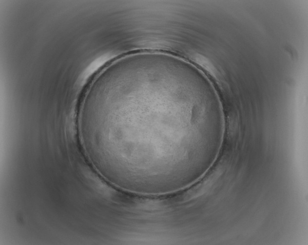 X0000115501071200911061323