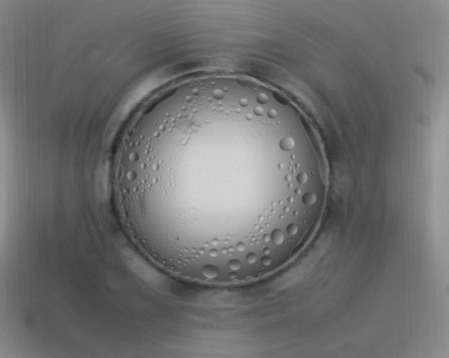 X0000115501075200911061322