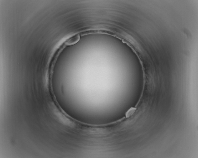 X0000115501076200911061322