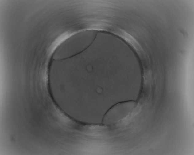 X0000115501077200911061322
