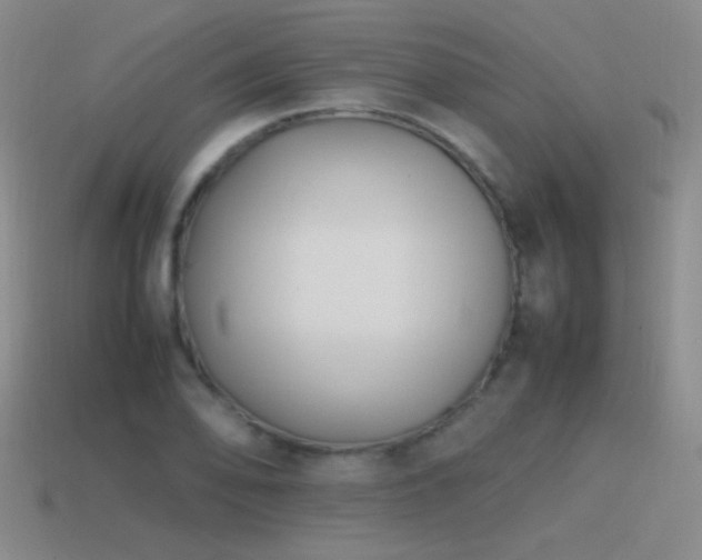 X0000115501078200911061322