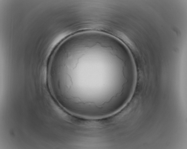 X0000115501079200911061322