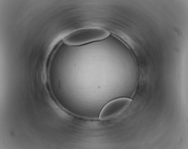 X0000115501080200911061322