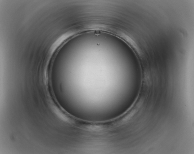 X0000115501082200911061322