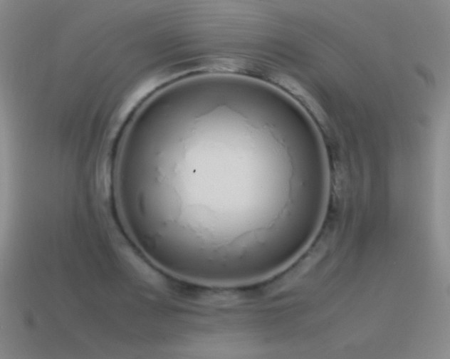 X0000115501083200911061322