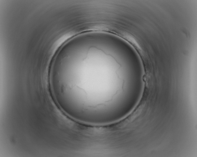 X0000115501087200911061322