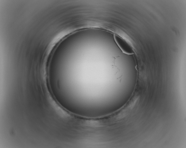 X0000115501088200911061322
