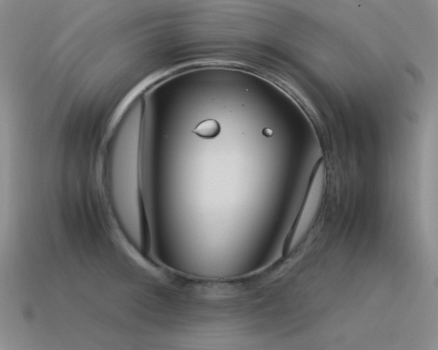 X0000115501092200911061322