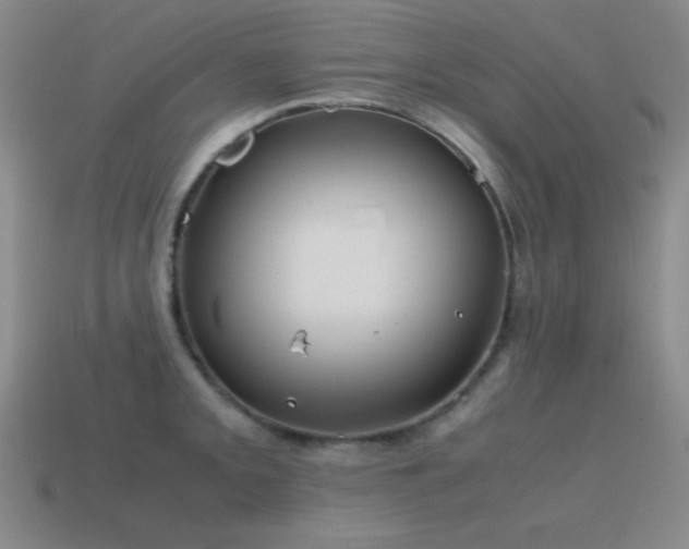 X0000115501093200911061322