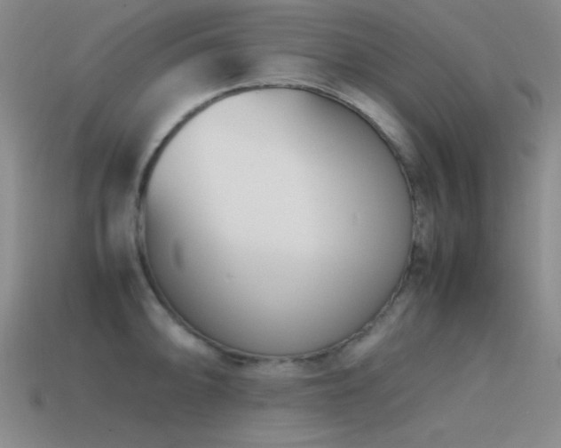 X0000115501094200911061322