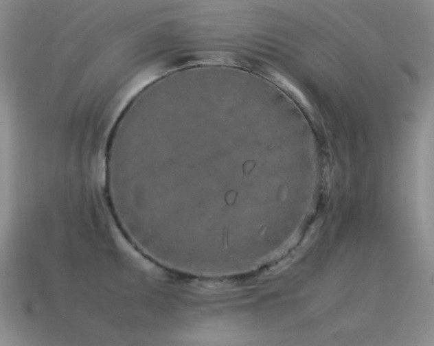 X0000115501095200911061322