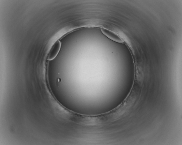X0000115501096200911061322