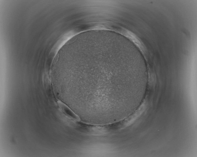 X0000115501097200911061322