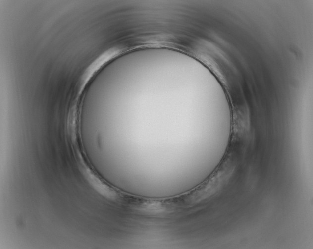 X0000115501098200911061322