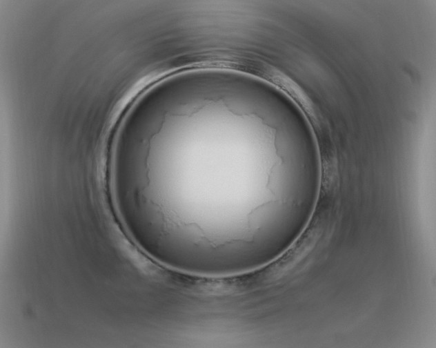 X0000115501099200911061322