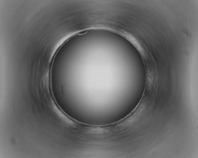 X0000115501100200911061322