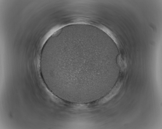 X0000115501101200911061322