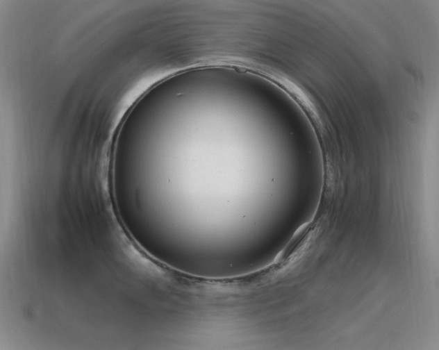 X0000115501102200911061322