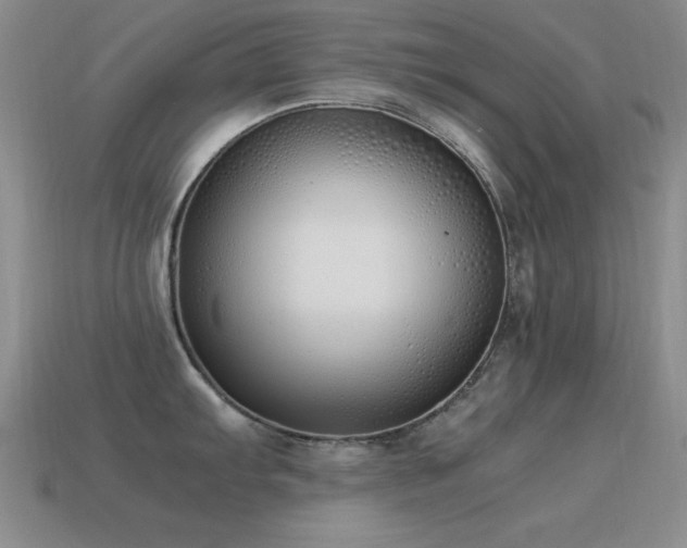X0000115501103200911061322