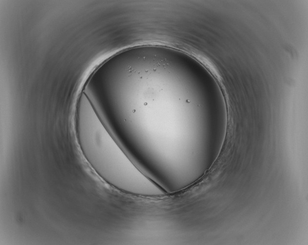 X0000115501104200911061322