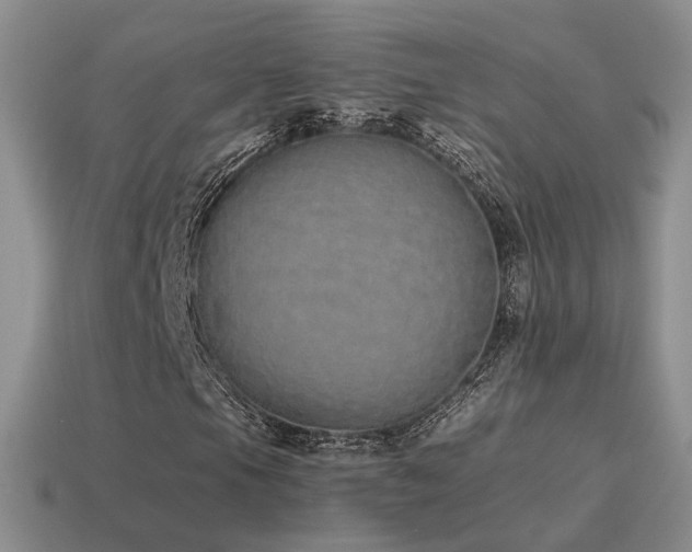 X0000115501105200911061321