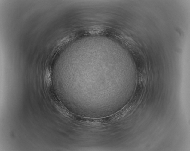 X0000115501106200911061321