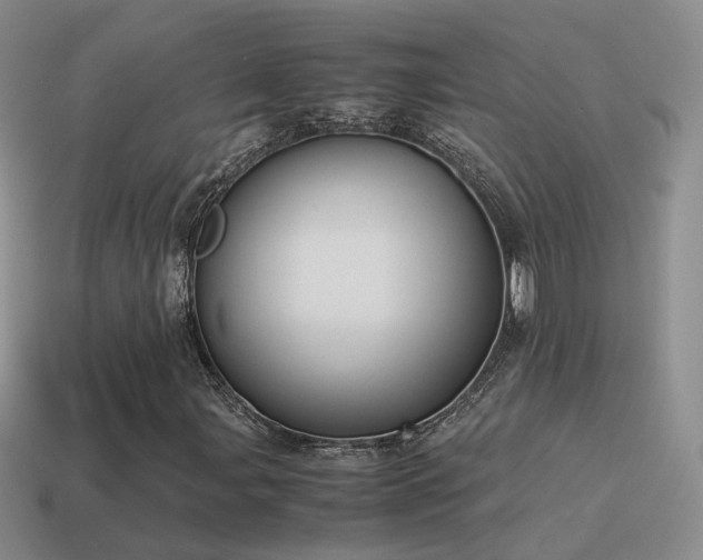 X0000115501107200911061321