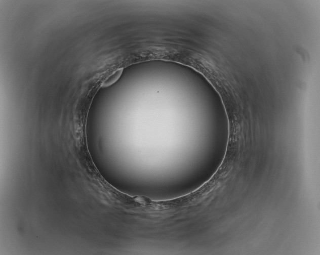 X0000115501109200911061322