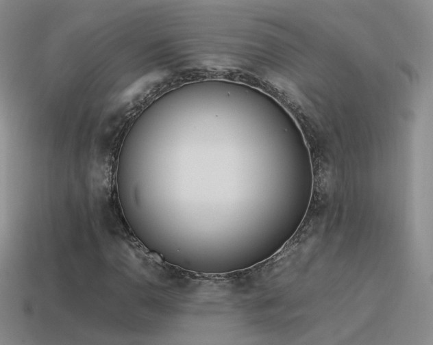 X0000115501110200911061322