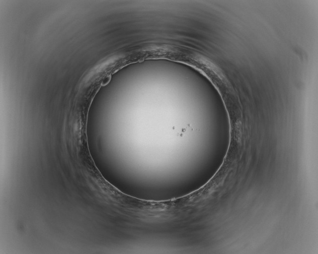X0000115501111200911061322