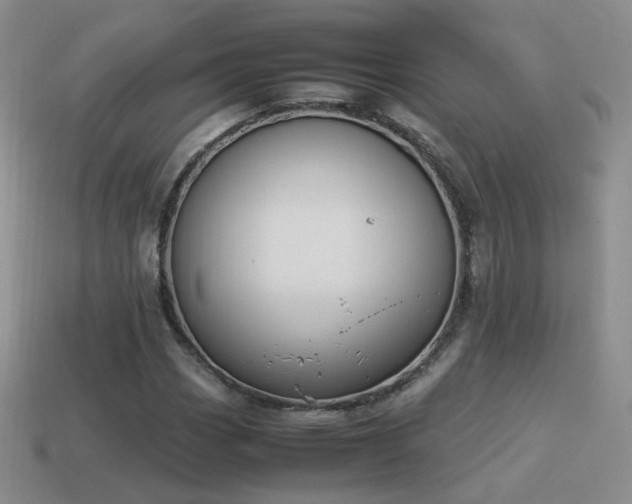 X0000115501113200911061322