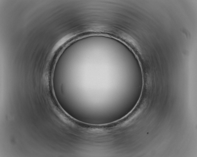 X0000115501114200911061322