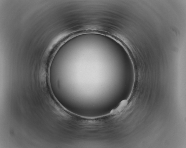 X0000115501115200911061322