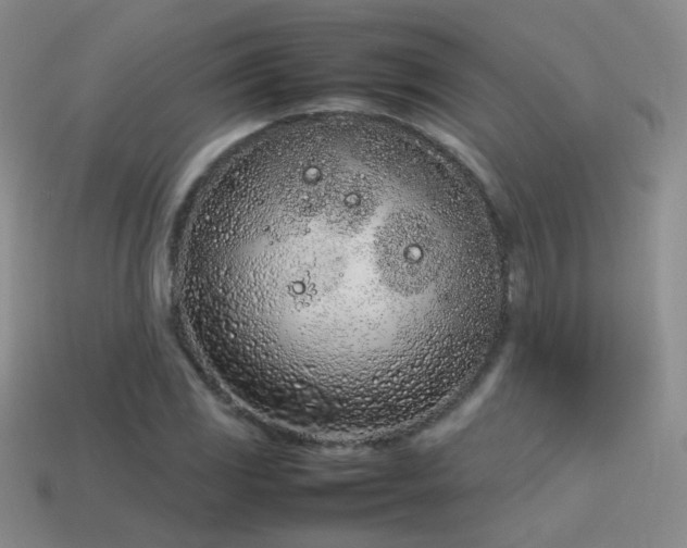 X0000115501117200911061322