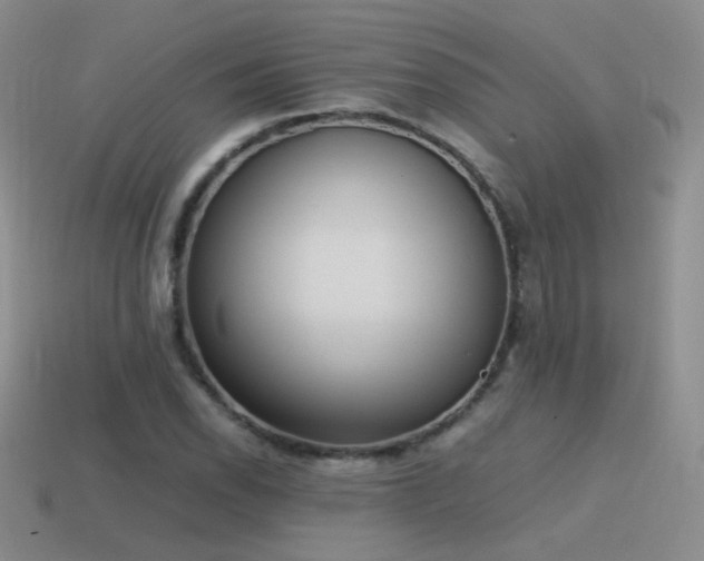 X0000115501118200911061322