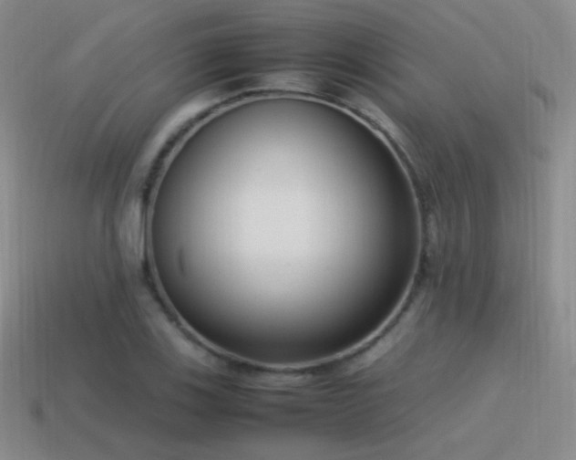 X0000115501123200911061322