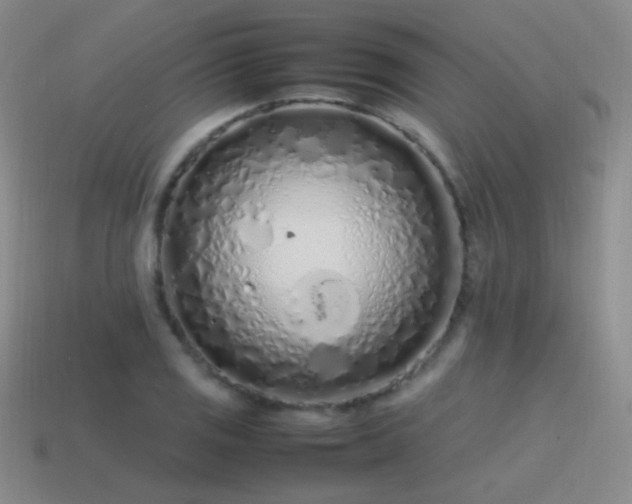 X0000115501125200911061322