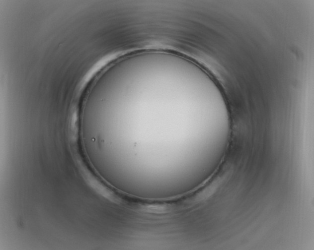 X0000115501126200911061322