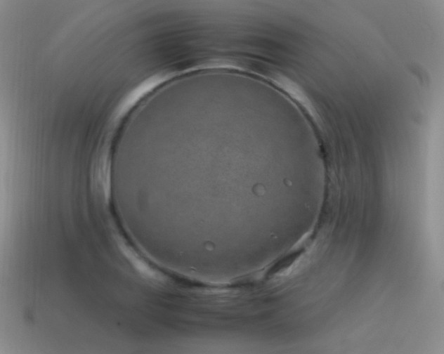 X0000115501127200911061322