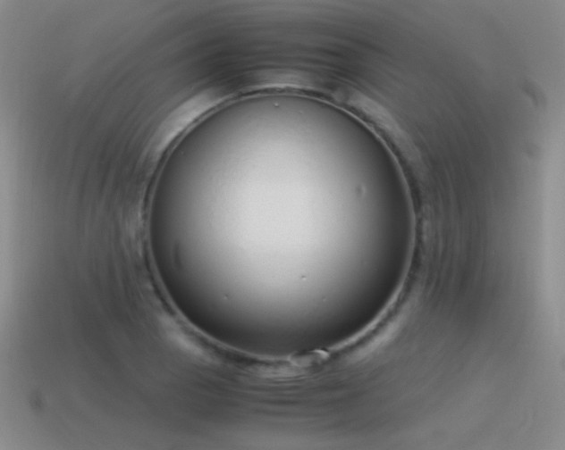 X0000115501129200911061322