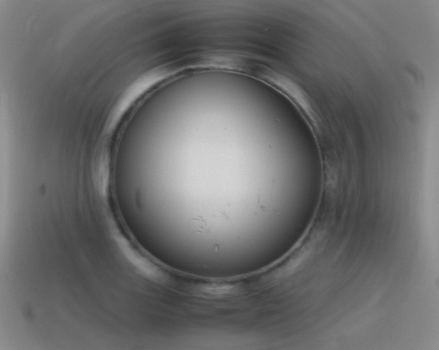 X0000115501131200911061322