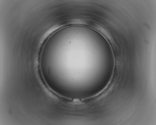 X0000115501133200911061322