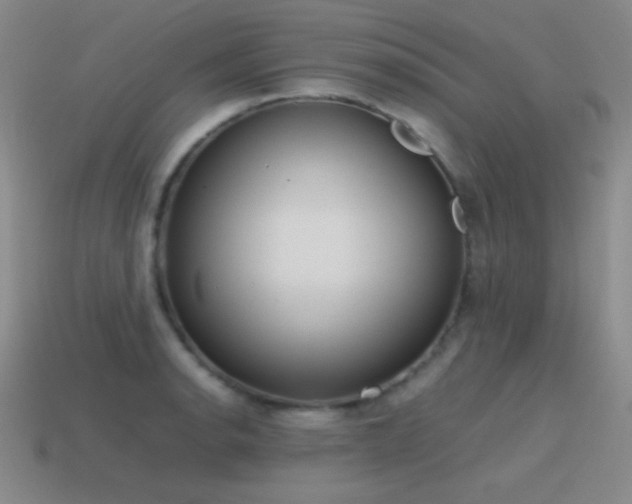 X0000115501134200911061322