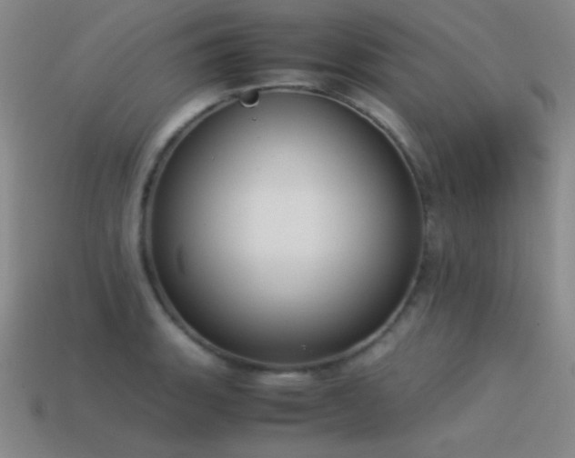 X0000115501135200911061322