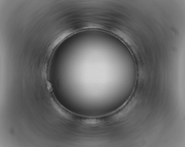 X0000115501137200911061322