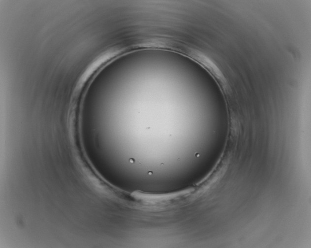 X0000115501138200911061322