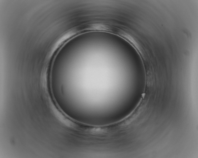 X0000115501139200911061322