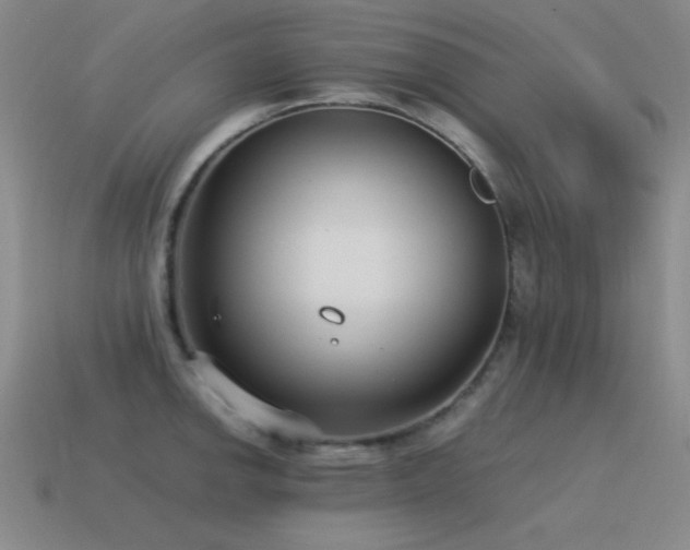 X0000115501142200911061322