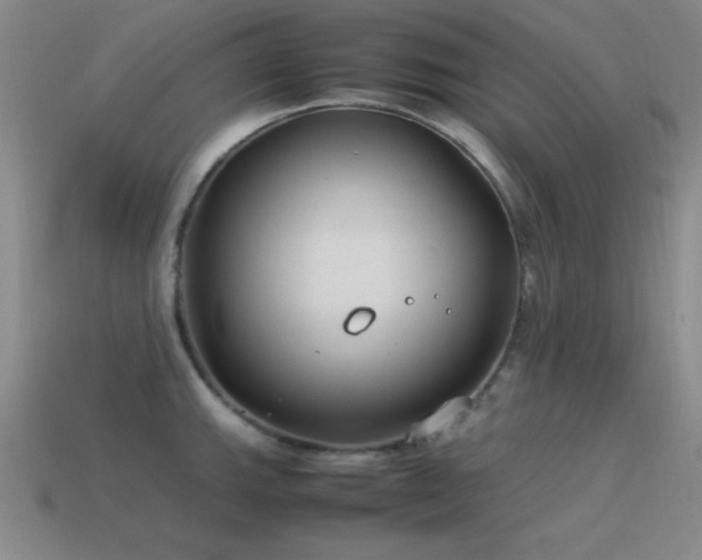 X0000115501143200911061322